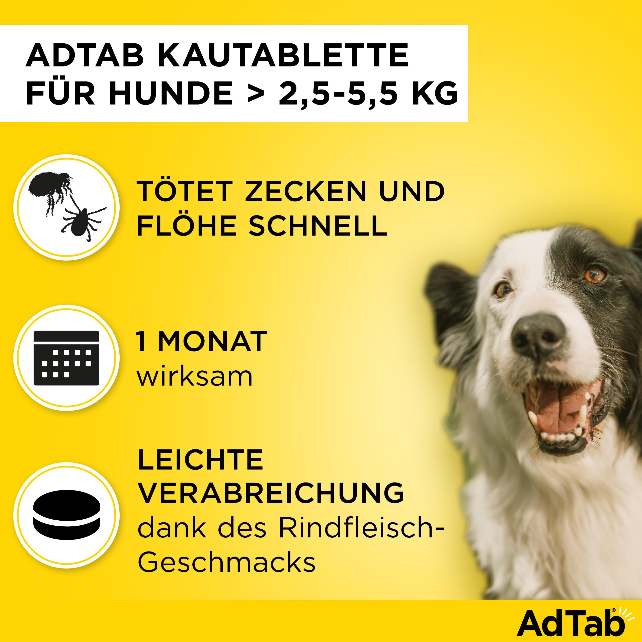 AdTab Hund 2,5-5,5 kg - Kautablette gegen Zecken & Flöhe, Doppelpack(6 St.) | Kleine Kautablette mit Rindfleischgeschmack. 3 Monate Floh- & Zeckenschutz für deinen Hund, schnelle Wirkung & einfache Gabe.
