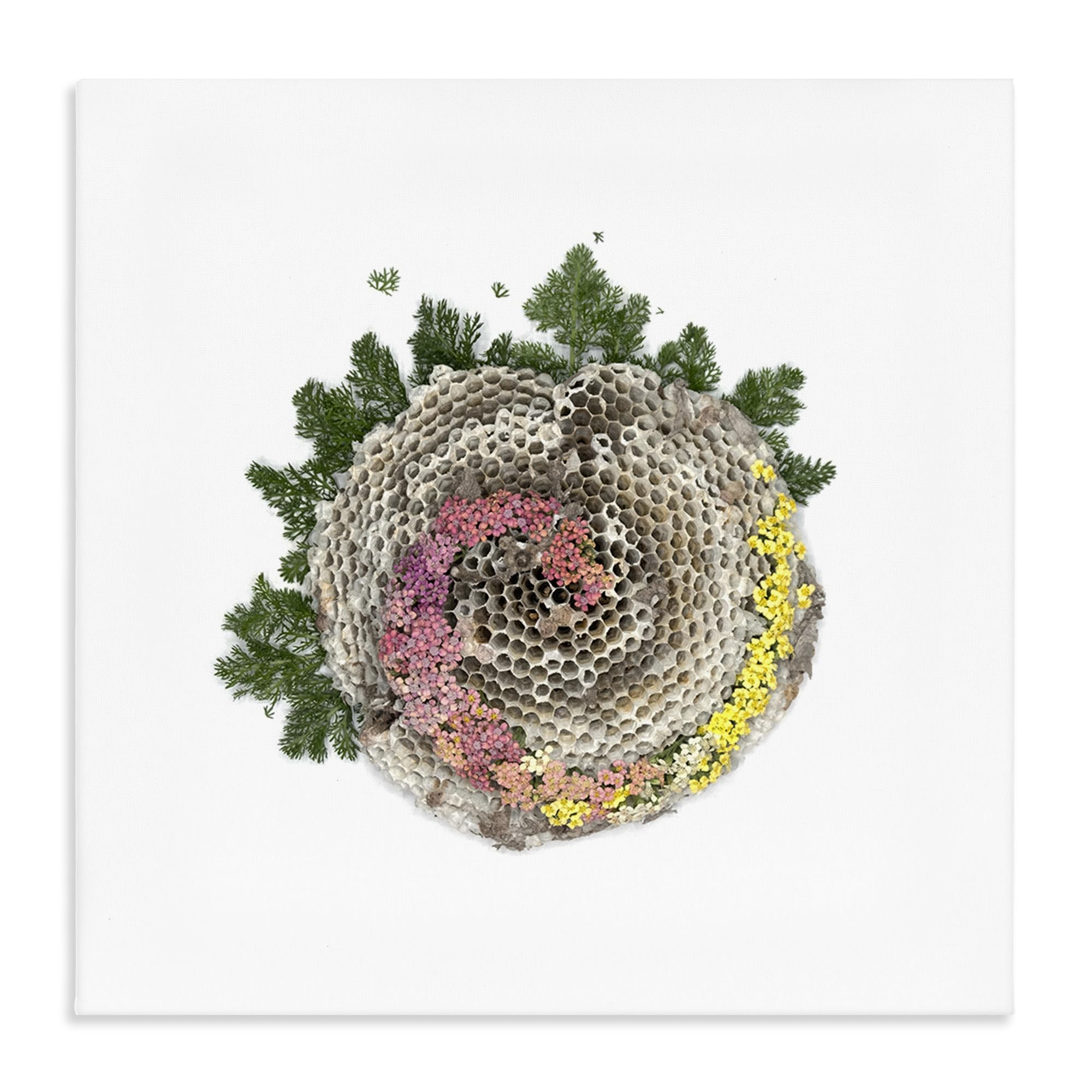 Stupell Industries Unframed 'Honeycomb With Botanicals'| Canvas Art