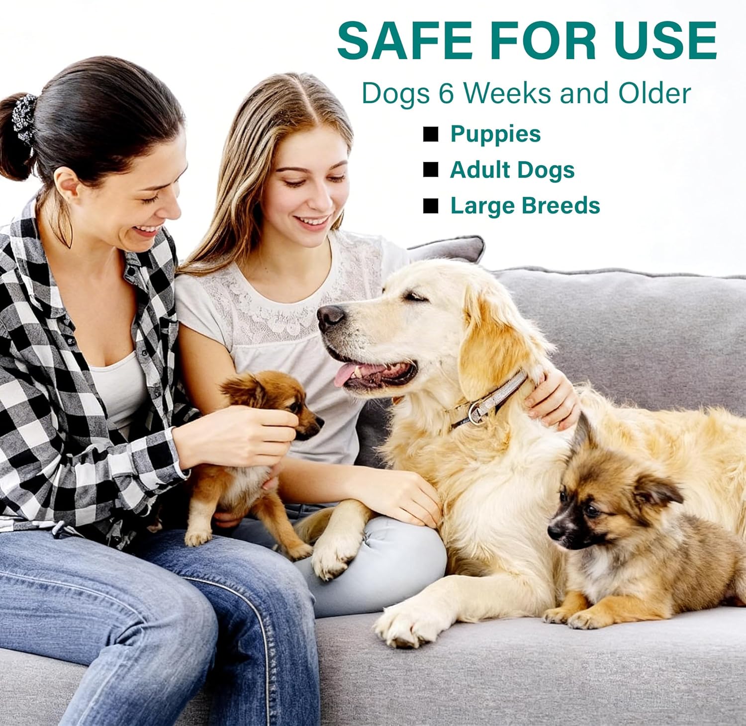 Dewormer for Dogs, (Fenbendazole) for Tapeworms, Roundworms, Hookworms and Whipworms