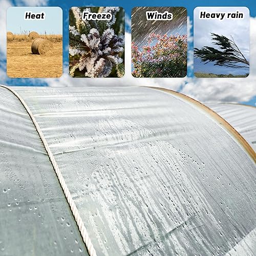 Vista 11 de Láminas de plástico transparente para invernaderos de 6 mil, película de plástico transparente para invernaderos, película de polietileno resistente