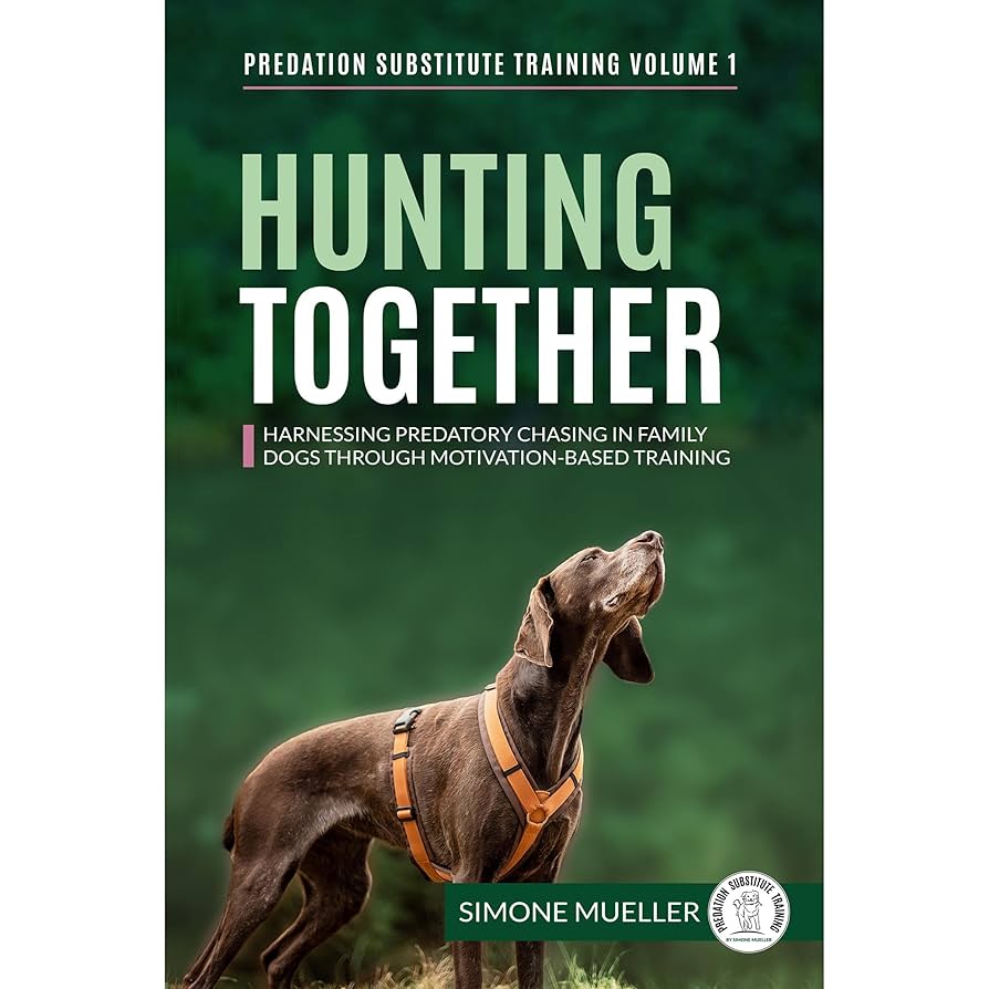 How to Stop Dogs from Chasing Squirrels in the Yard Using Predation Substitute Games: Effective Training Tips