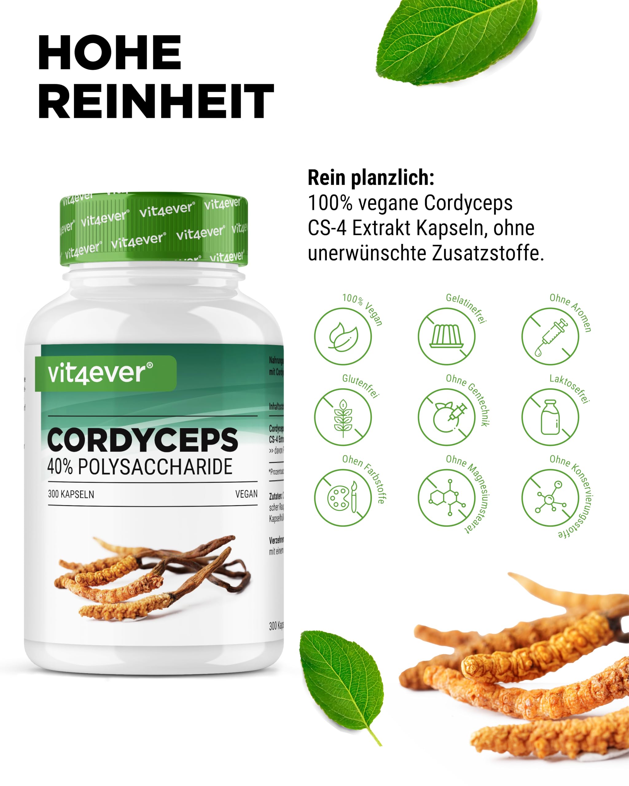 vit4ever Cordyceps Pilz - 300 Kapseln mit 650 mg echtem CS-4 Extrakt - 40% bioaktive Polysaccharide - Hochdosiert - Raupenpilz - Vegan