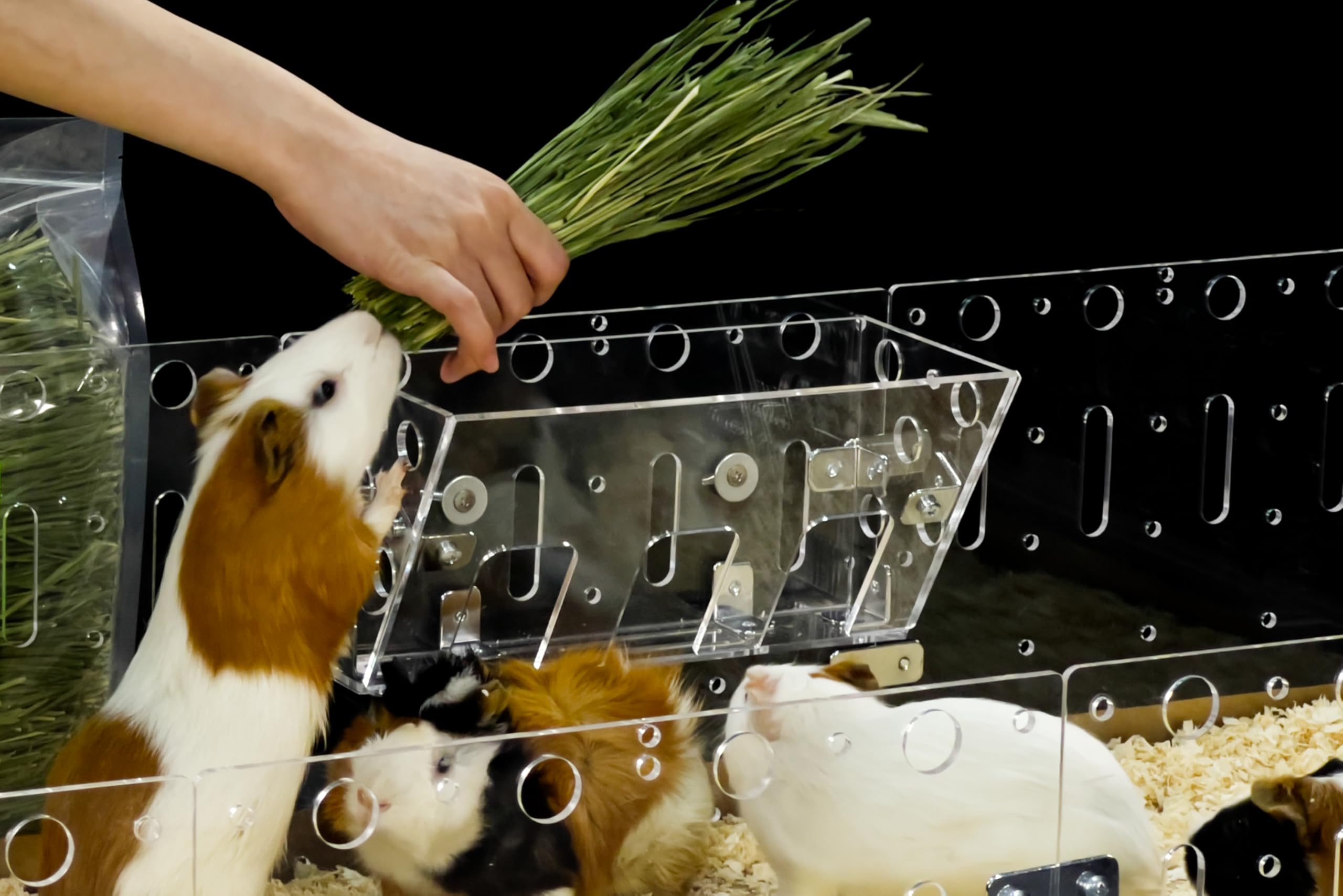 GuineaLoft Hay Feeder - The Ultimate Hay Feeder for Small Pets Like Guinea Pigs, Rabbits and Chinchillas. Designed & Made by Seasoned Owners Who Tried Everything Out There - Guinea Loft Exclusive - Image 2