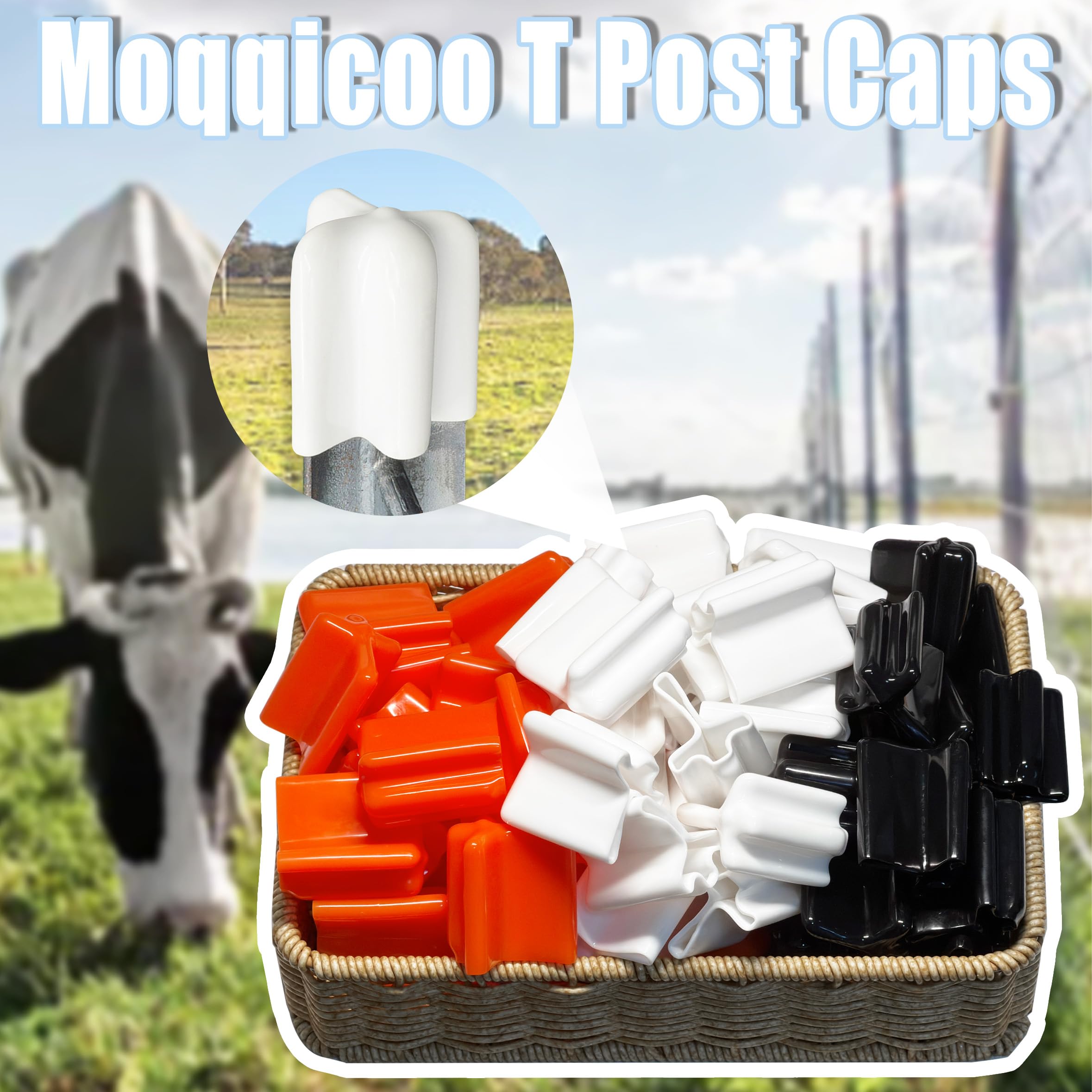 Tapones de poste T, 50 unidades, color blanco