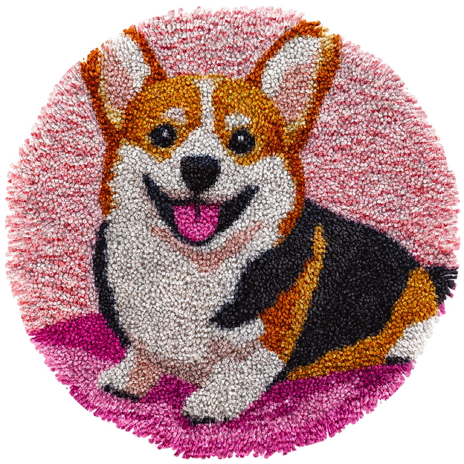 Latch Hook Rug Kit Cute Corgi Dog Easy for Beginners Round Shape Carpet Crochet Yarn Craft Mini Rug DIY Hook and Latch Little Tapestry for Home Decor 30x30cm-4
