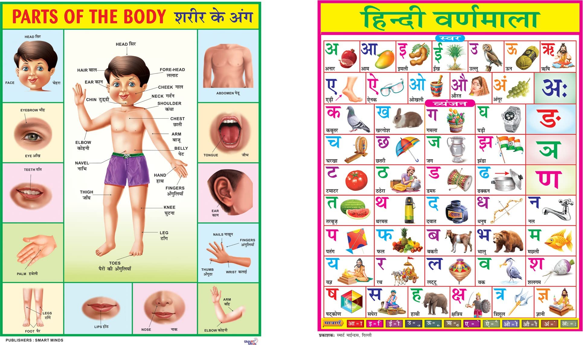 Eoi Marketing Combo Of 2 Chart Part Of The Body & Hindi Varnmala Chart For Kids | 28X40Inch (70X100Cm)| Laminated Chart | Waterproof And Non Tearable Wall Chart-picture-11