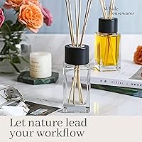 Vista 6 de WHOLE HOUSEWARES Varillas Difusoras Naturales en Botellas de Carrizo Vidrio Transparente para Decoración del Hogar para Cocina y Sala de Estar
