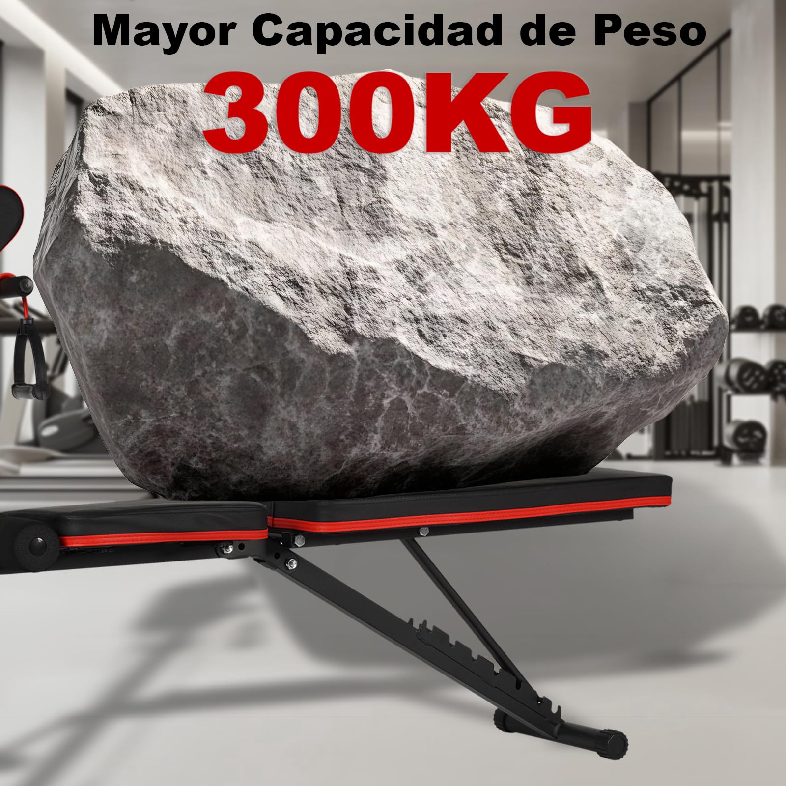Banco de Pesas Ajustable y Plegable para Musculación, Banco de Entrenamiento Multifuncional para Gimnasio en Casa, Carga Máx. 250/300kg, con Banco Scott o Silla Romana de Hiperextensión