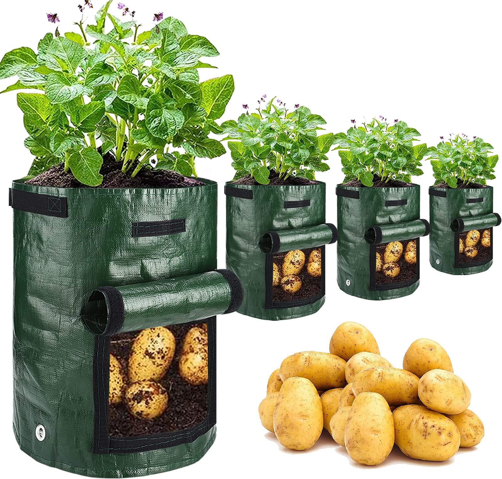 JJGoo4 Pack 10 Gallon Garden Potato Grow Bags with Flap and Handles Aeration Fabric Planter Pots, Heavy Duty Potato Planters Garden Planting Bags for Onion, Fruits, Tomato, Carrot (Green)