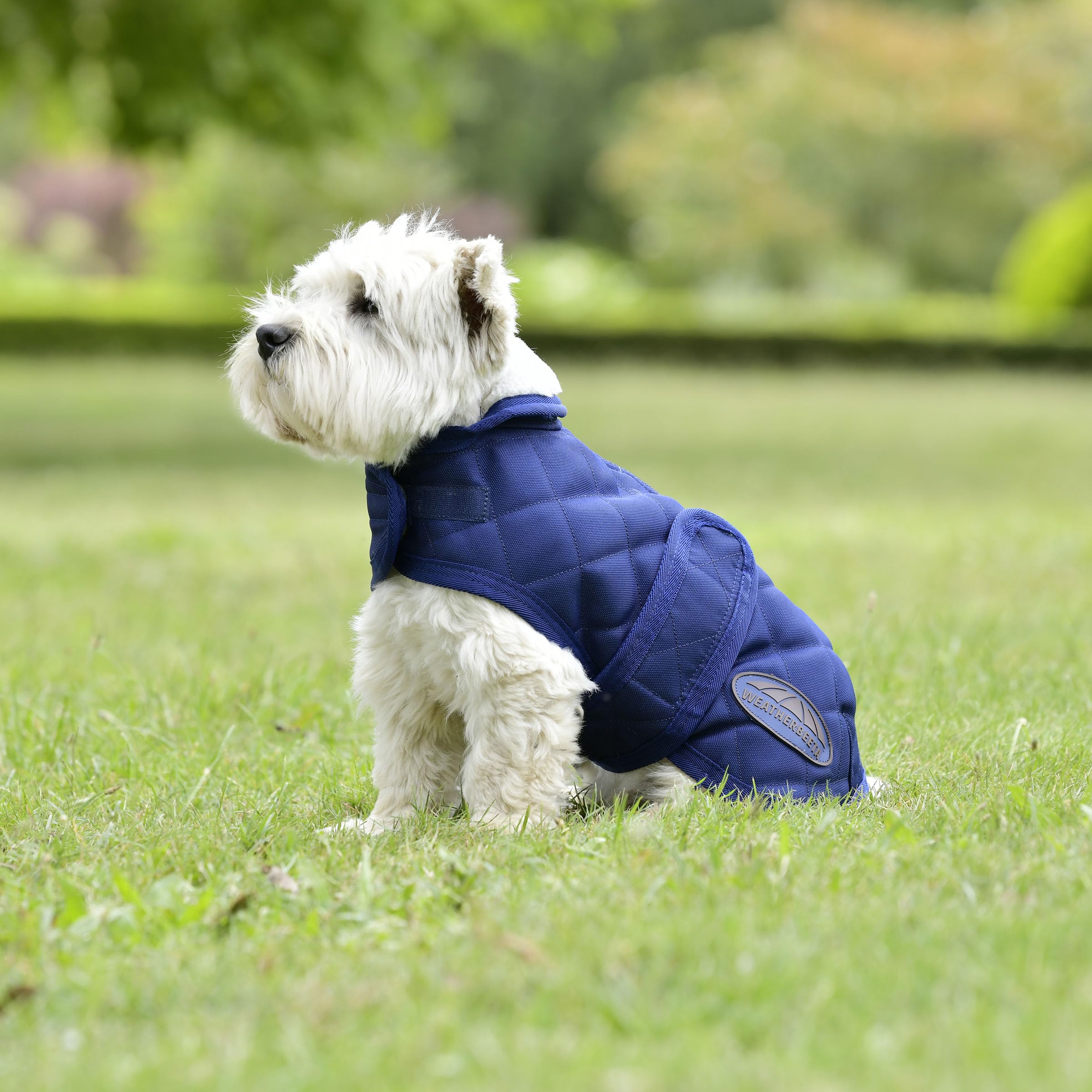 WeatherBeeta ComFiTec Deluxe Diamond Quilt Cappottino per cani, blu navy, 75 cm