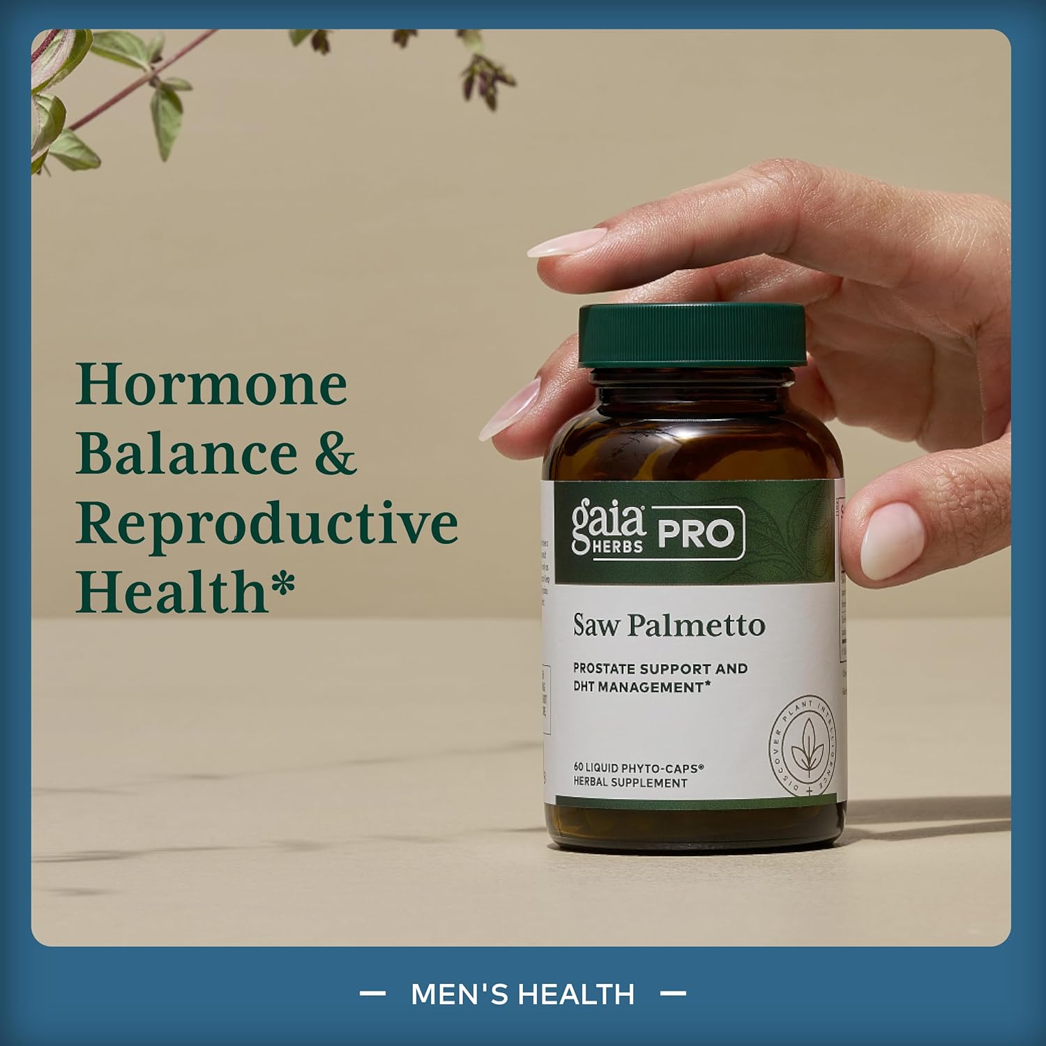 GAIA HERBS PRO Saw Palmetto PRO - Healthy Prostate Gland Support Supplement* - Herbal Supplement with Saw Palmetto & Sunflower Seed - Vegan, Gluten-Free, Soy-Free - 60 Liquid Phyto-Caps (60 Servings)