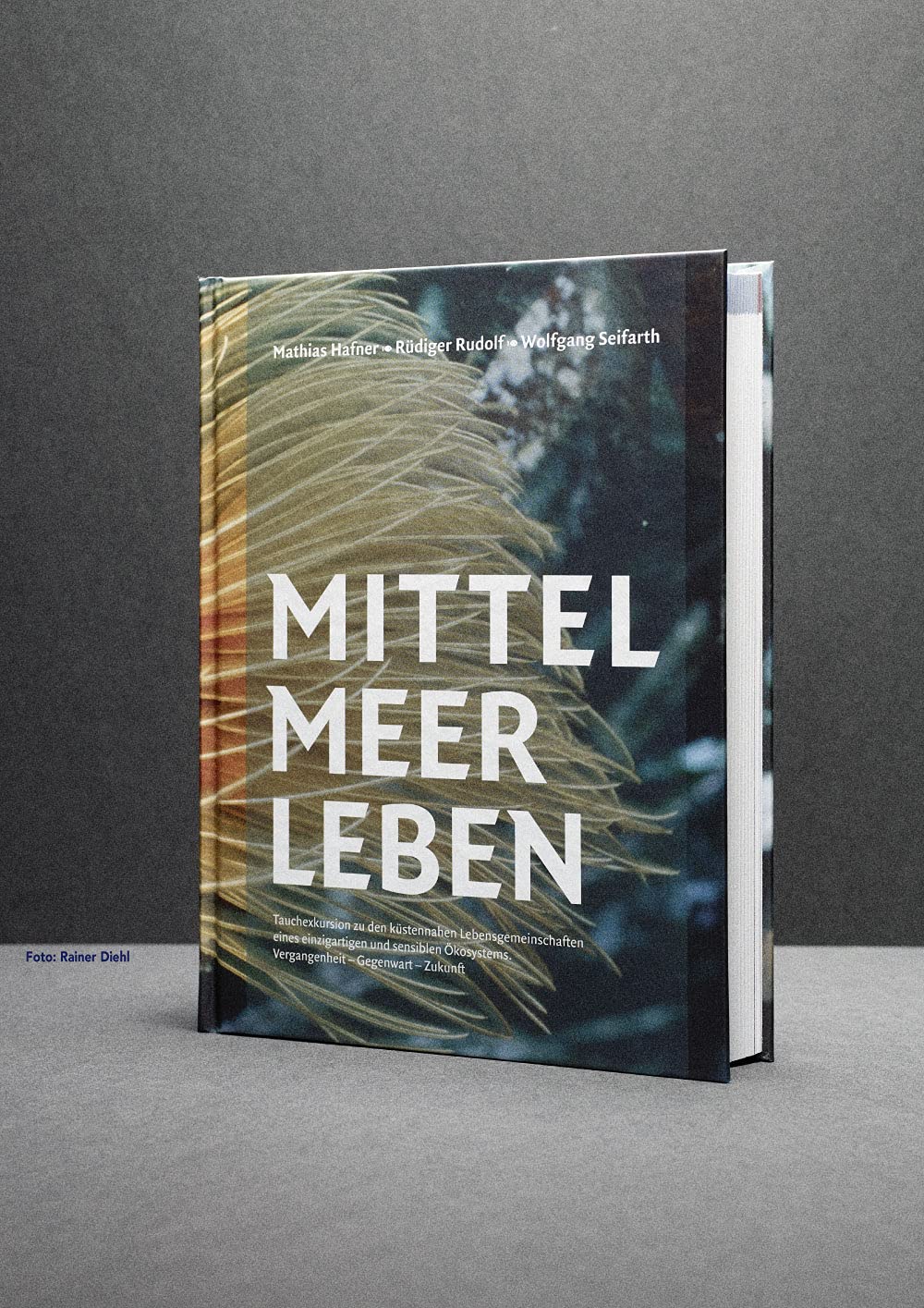 Mittelmeerleben: Tauchexkursion zu den küstennahen Lebensgemeinschaften eines einzigartigen und sensiblen Ökosystems.