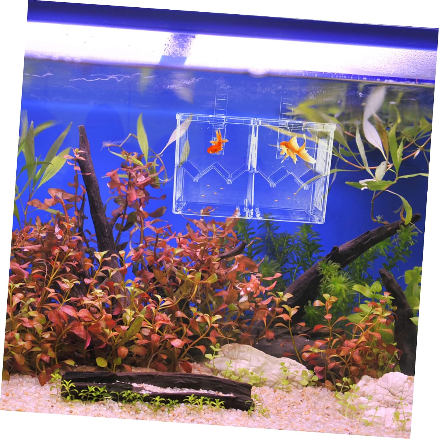 Dual Layer Fish Breeding Box Isolation Panels Plastic Aquarium Hatchery for Fry Incubation Fish Isolation Case for Aquarium Use