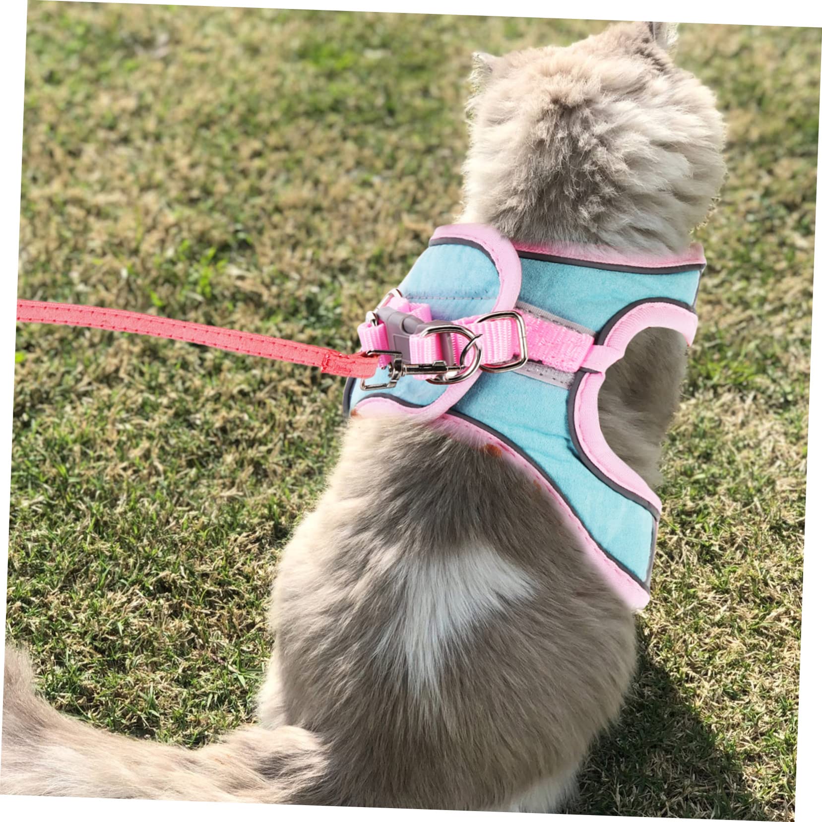 Mipcase 4sätze Katzengeschirr Mit Verstellbarem Geschirr Und Ausbruchsicheres Reflektierendes Design Für Katzen Und Kleine Tiere Für Rosa-grün