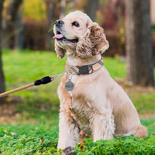 Miniatura 5 de Collar de nailon para perro, de neopreno suave, acolchado, ajustable, para perros pequeños, medianos y grandes (cuello S de 12 a 15.5 pulgadas,