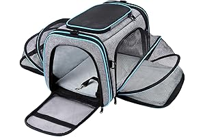 Airline Approved Travel Bag For Adventurous Pets