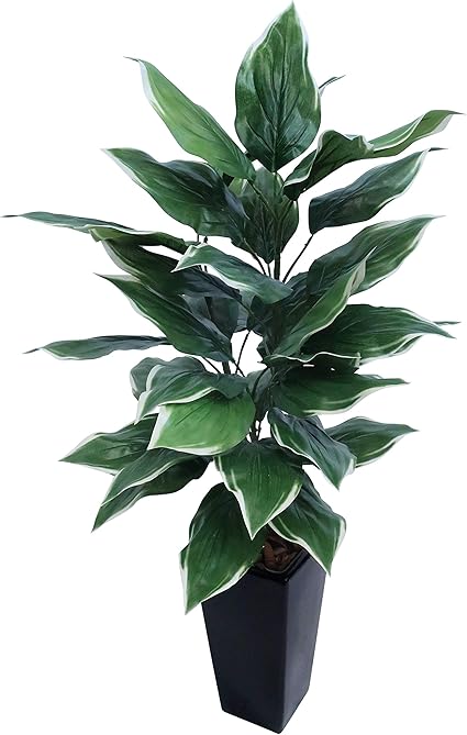 New限定品 取寄品 ホスタプラント ポット付 112cm A 人工観葉植物 サトイモ科 フェイクグリーン インテリアグリーン 人気第1位 Www Iacymperu Org New限定品 取寄品 ホスタプラント ポット付 112cm A 人工観葉植物 サトイモ科 フェイクグリーン インテリアグリーン 人気第1位 Www Iacymperu Org