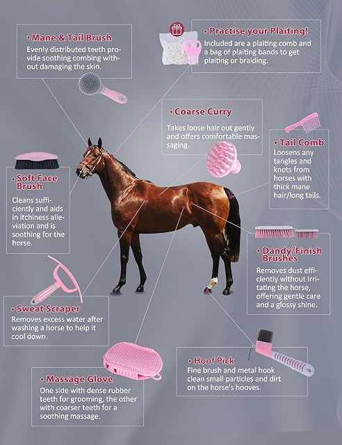 Foto 4 de 8 de Harrison Howard Kit de aseo de caballos de 9 piezas Equine Care Series