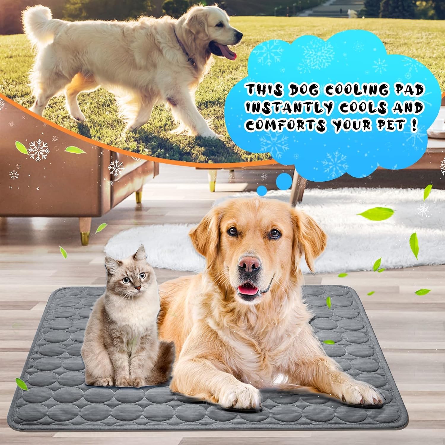 Beat the Heat: LuLuanping Cooling Mat for Happy Pets!