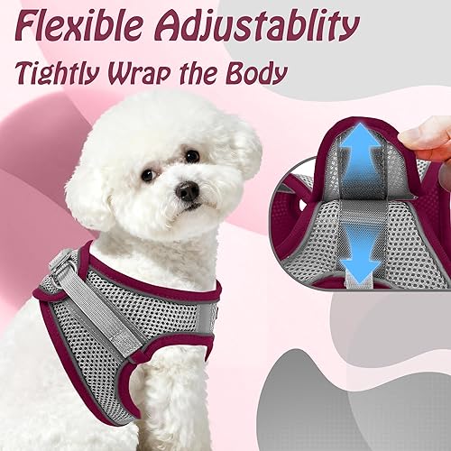 Miniatura 80 de AIITLE Arnés Escalonado para Perro y Juego de Correa - Chaleco Arnés a Prueba de Escape Sin Tirones con Malla Suave y Bandas Reflectantes, Arneses