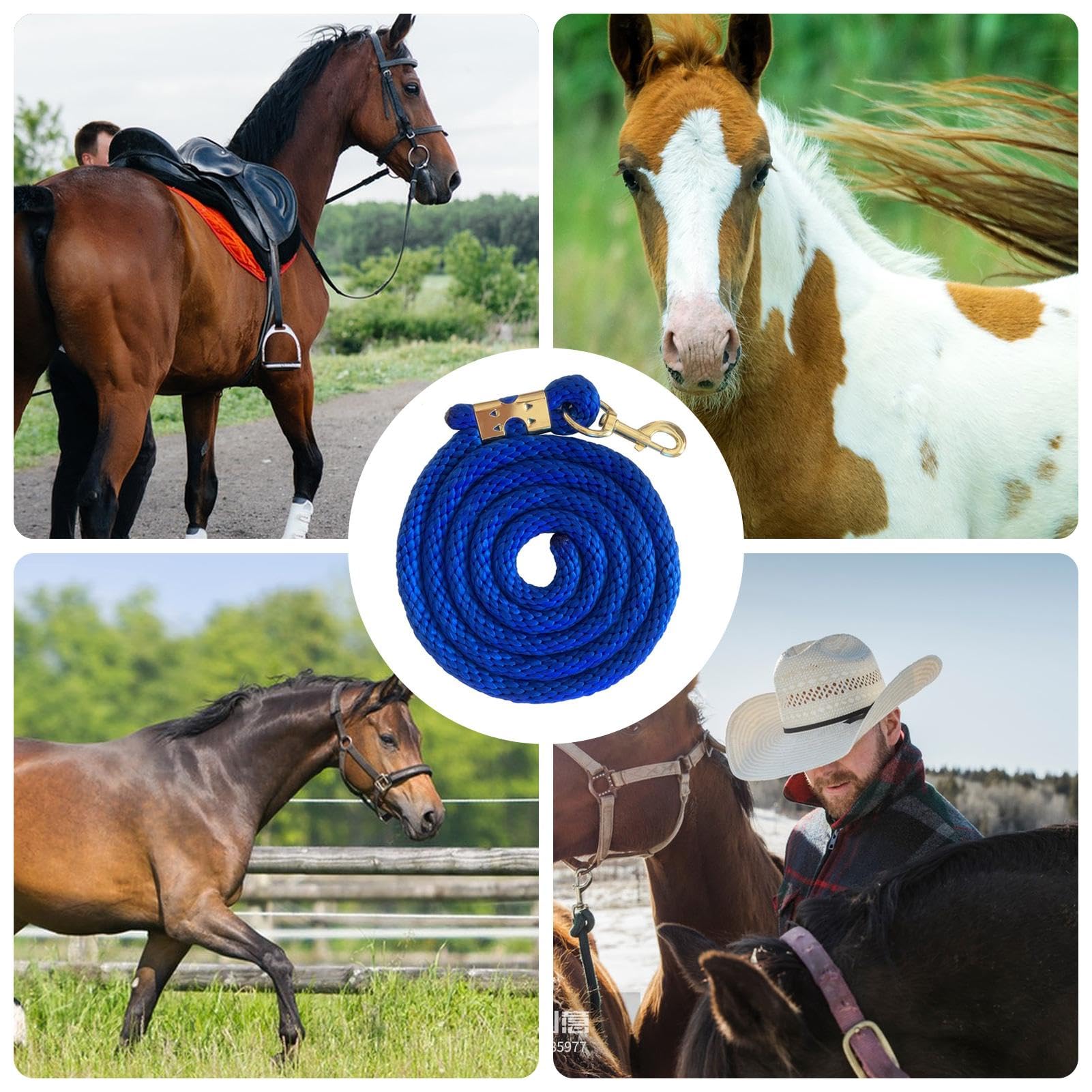 Prairie Horse Supply Führstrick 3 M – Polypropylen-Leine Mit Messing-Karabiner Für Pferde