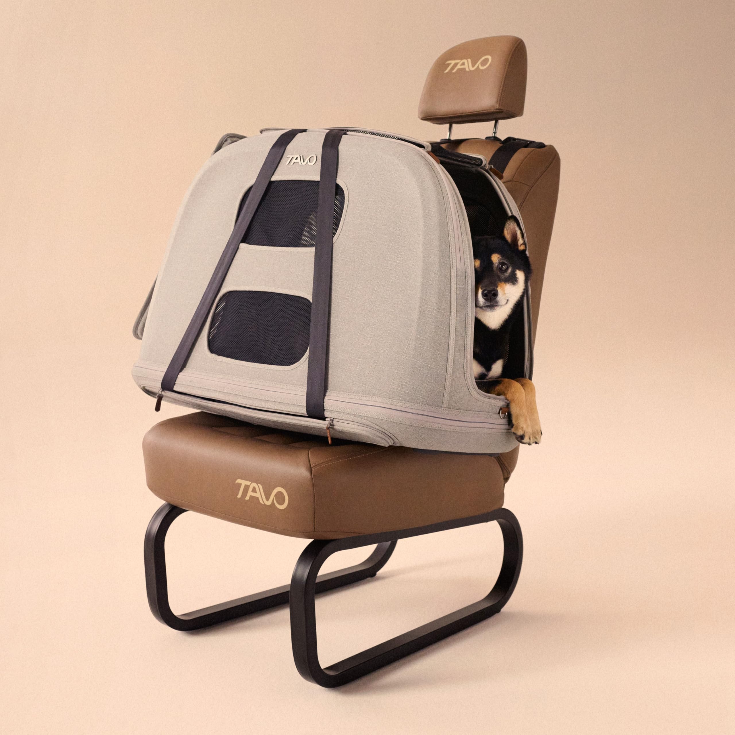 Tavo Crispin - Transportín grande para mascotas – Caja de transporte para perros y gatos, ISOFIX y fijación Top-Tether, ventilación de malla de 360°, plegable, 2 colchones lavables, Merle