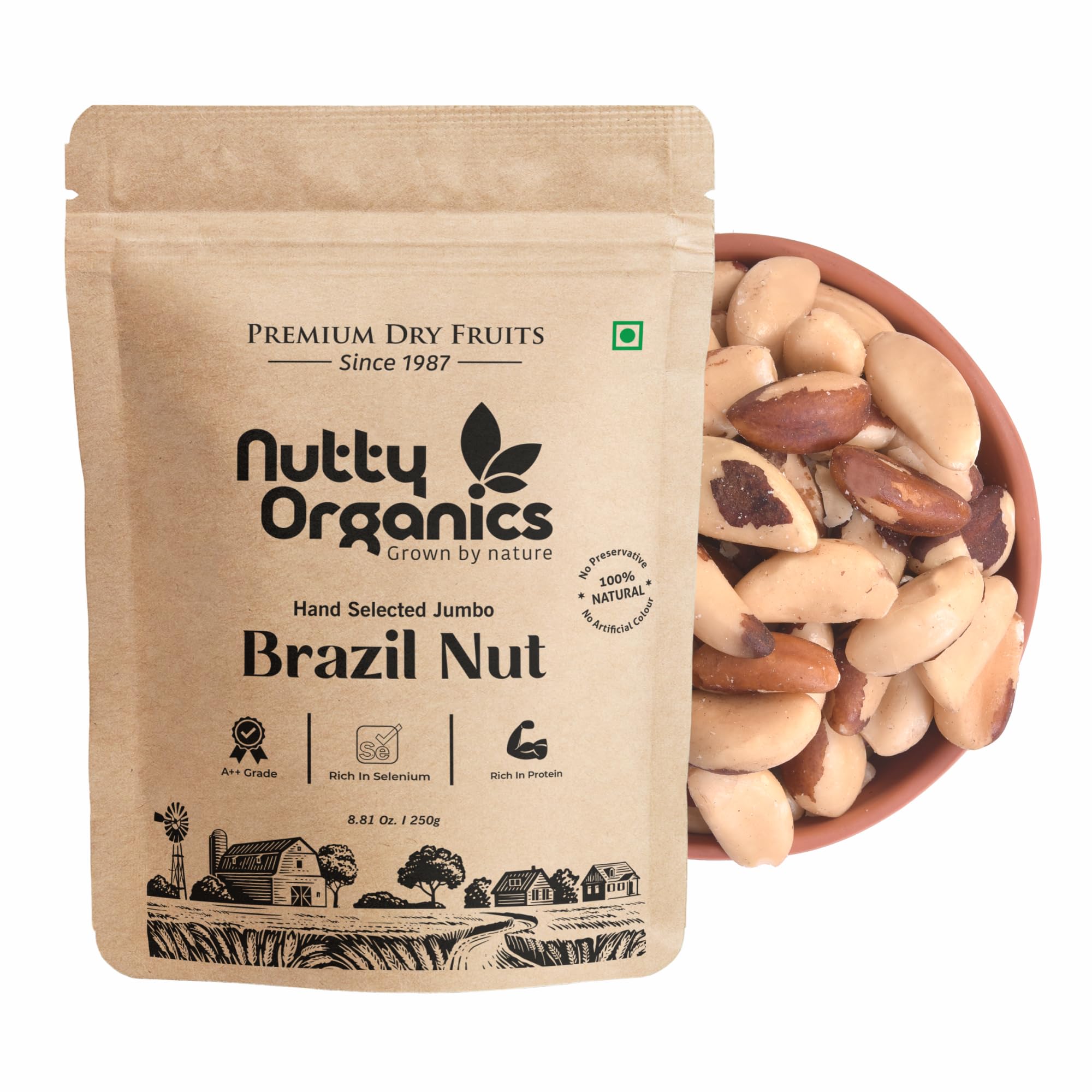 Brazil Nuts - 100G (Grade A ++ Nuts, Premium Jumbo Size) - Richest Natural Source Of Selenium