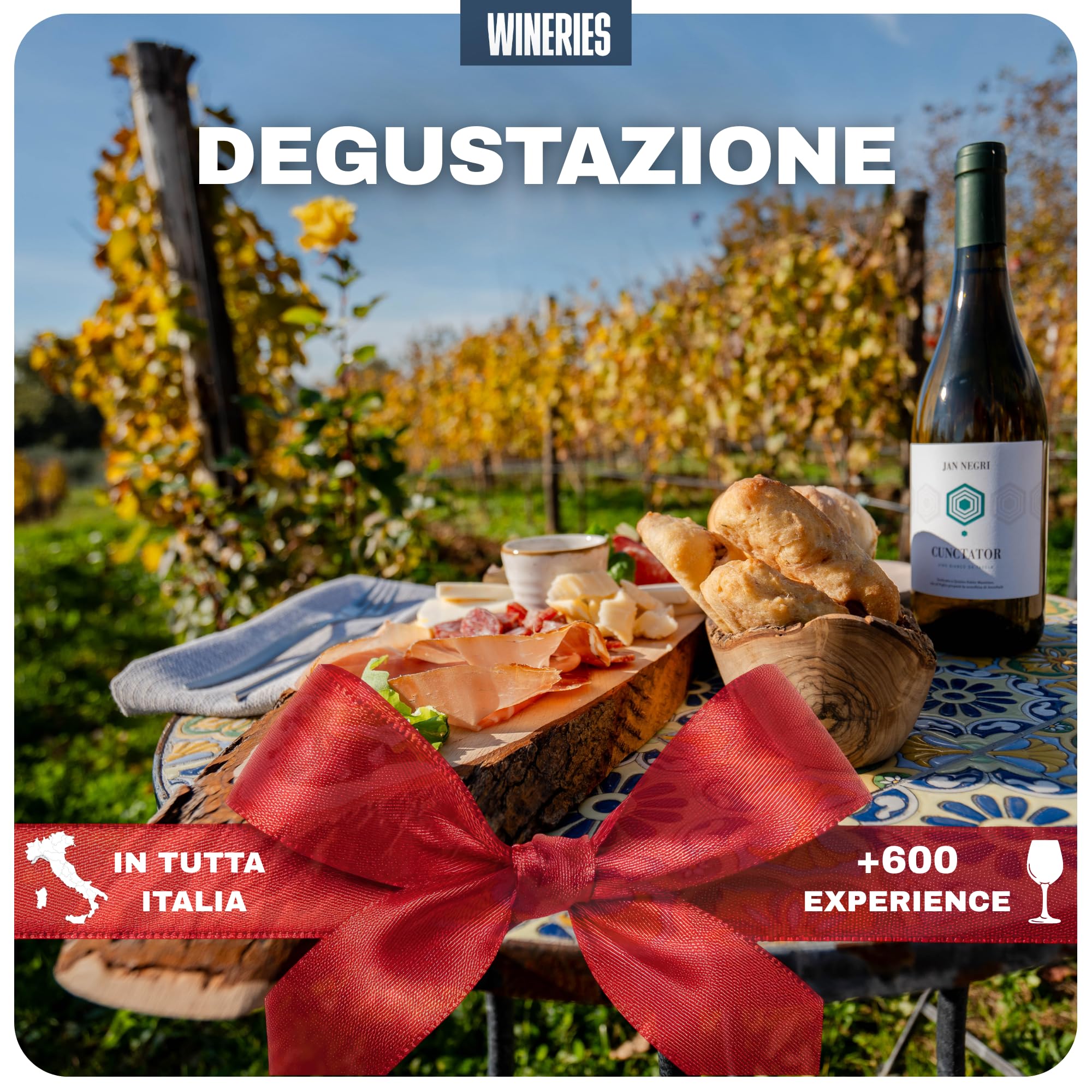 Cofanetto Regalo Degustazione di Vino in Cantina, Visita Guidata in Cantine e Vigneti Italiani – Voucher 12 Mesi - Idea Regalo per Amanti del Vino