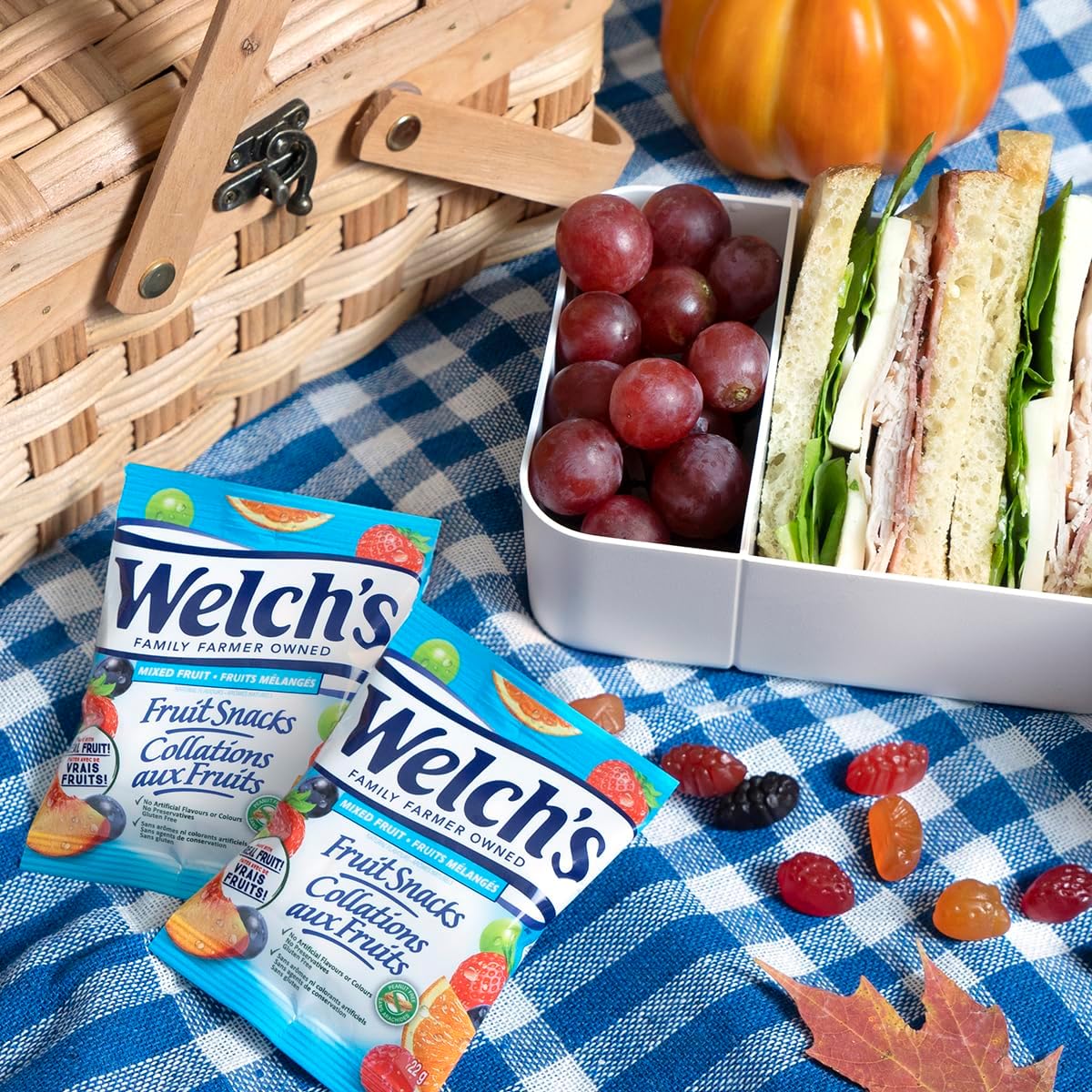 Gluten-Free Fruit Snacks