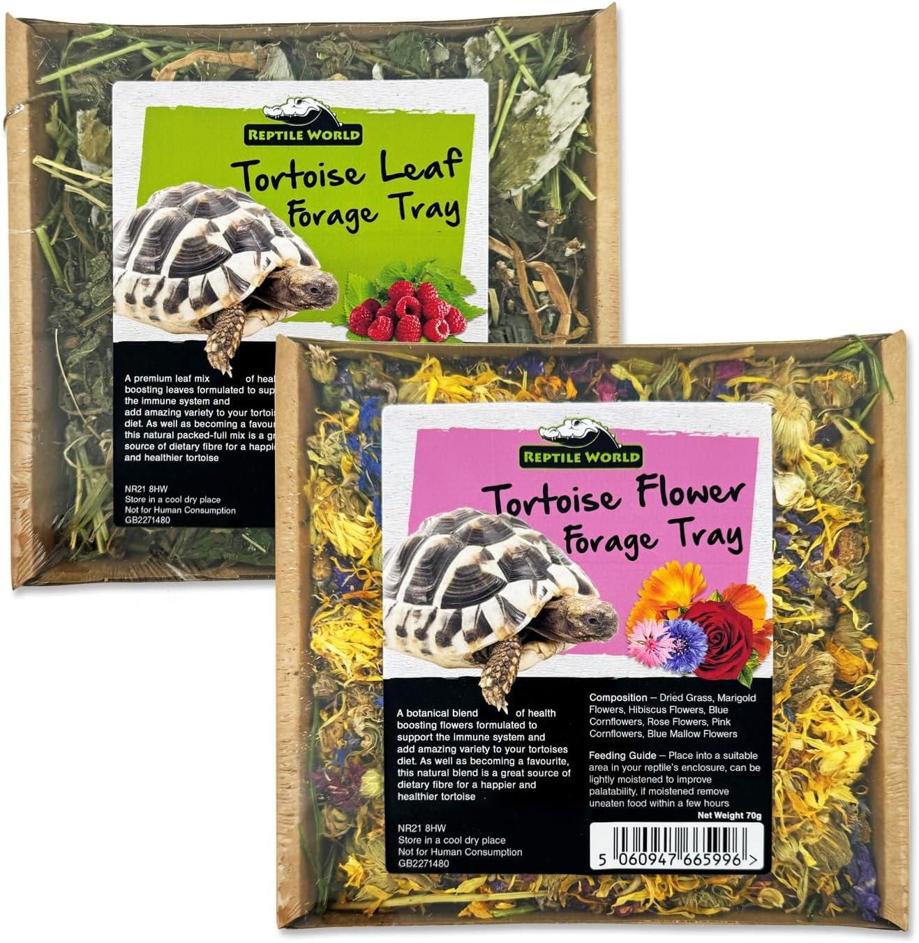 – Forage Tray - Twin Pack 140g | 100% Natural Botanical Enrichment for Tortoises, Healthy Tortoise Treat, Dried Flowers & Leaves