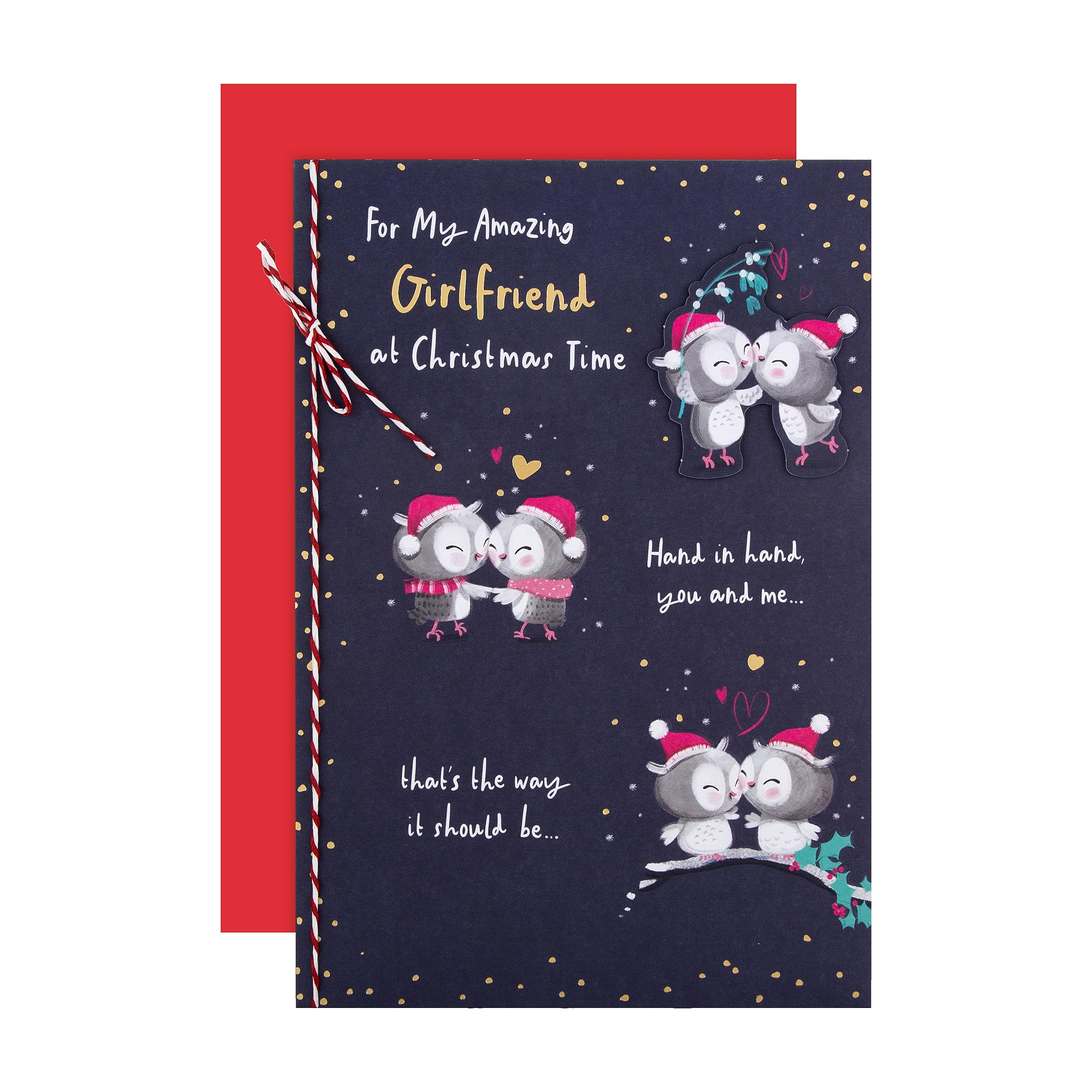 Hallmark Christmas Card for Girlfriend - Cute Illustrated Owls Design