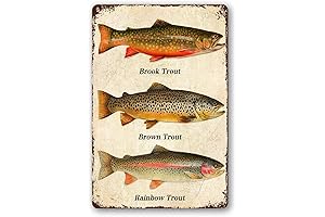Vintage Fishing Decor: Rainbow, Brook, and Brown Trout Metal Tin Signs