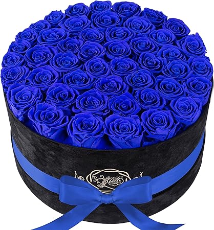 47 Flowers in a Luxury Suede Box, Birthday Gifts for Women, Preserved Flowers, Mothers Day Roses Gift for Mom,Blue