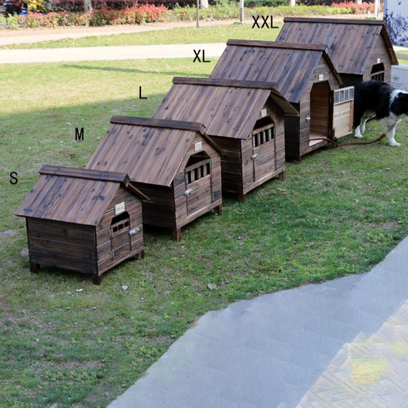 Cuccia per cani in legno con portico coperto e tetto incernierato, resistente alle intemperie per un comodo riparo