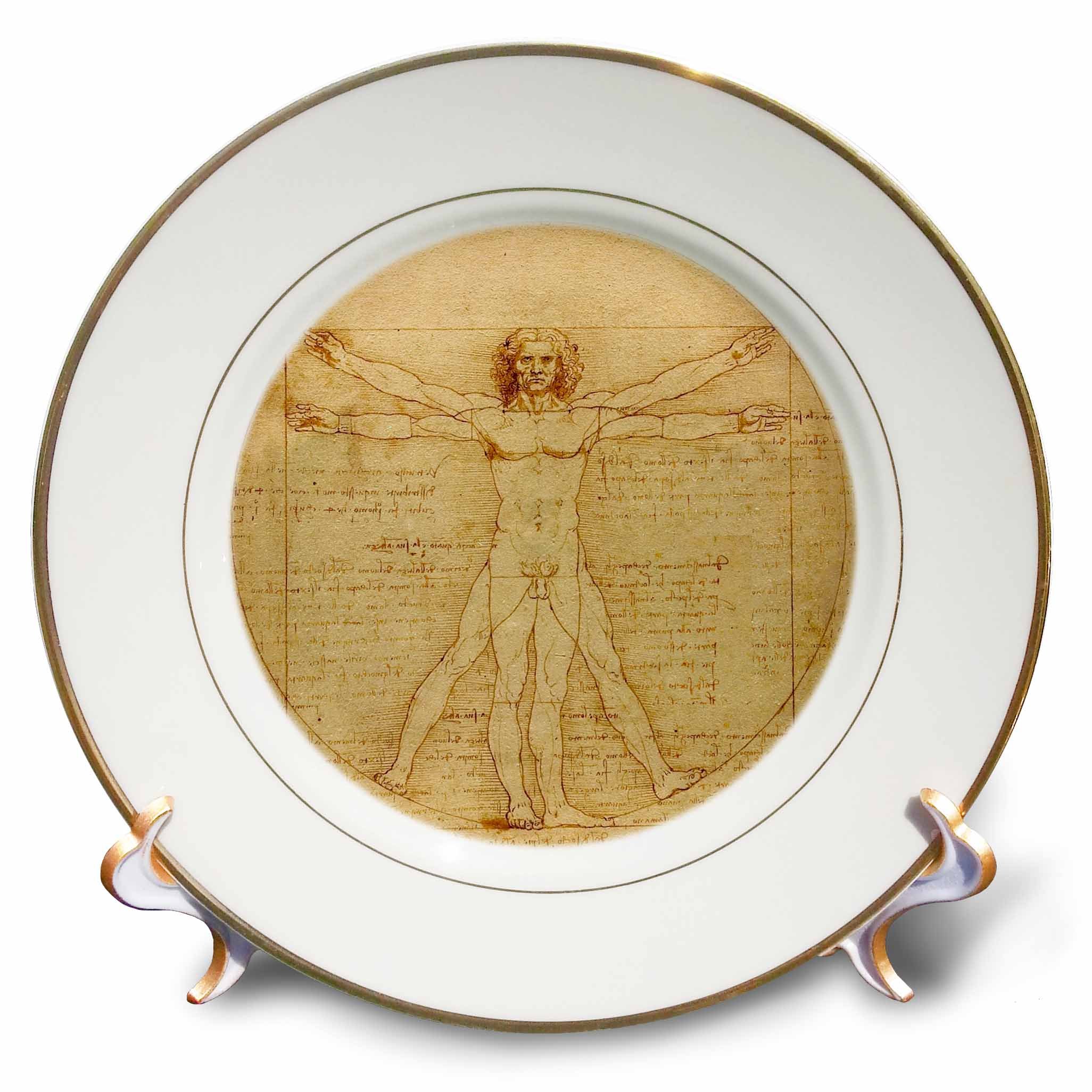 3dRose Vitruvian man by Leonardo da Vinci 1490 - fine anatomical art - human anatomy pen and ink drawing - Porcelain Plate, 8-inch