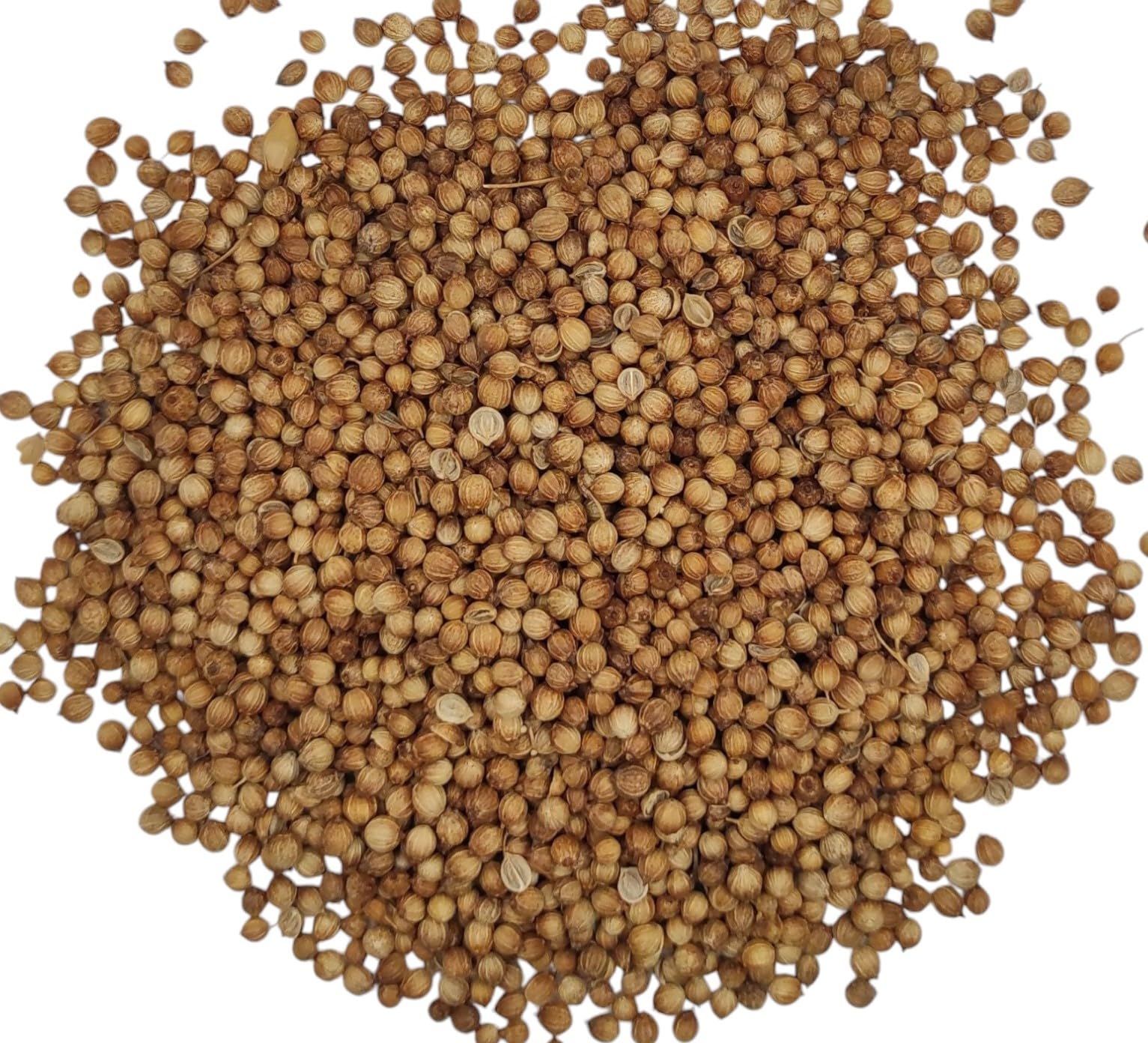 Graines De Coriandre Entières 85g - 1.95kg Coriandrum sativum (1950 grammes)