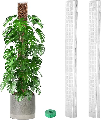 Miniatura 9 de EOX 2 postes de musgo de plástico de 24 pulgadas para Monstera, postes grandes en forma de D para plantas trepadoras, funcionan con musgo esfagnum