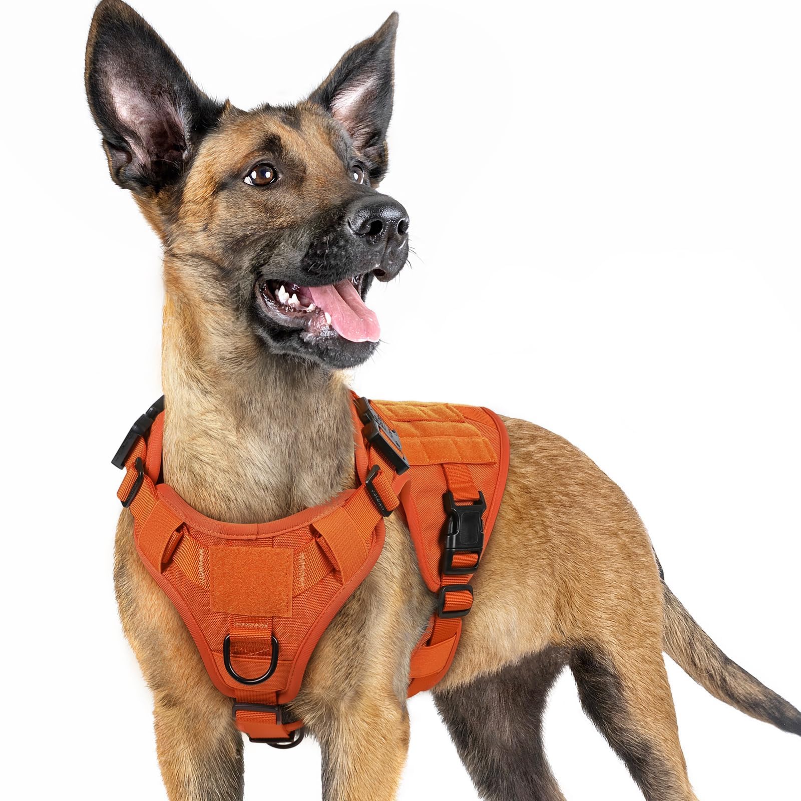 rabbitgoo Tactical Dog Harness for Small, Heavy Duty Pet Harness with Handle, No-Pull Service Vest Small Breed, Adjustable Military Dog Vest for