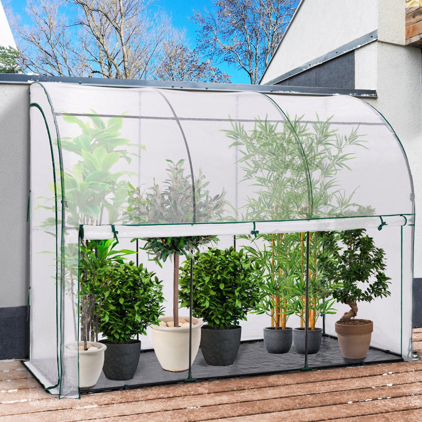 IDMarket – Invernadero de pared respaldado 300 x 80 x 160 cm, doble apertura, balcón y terraza