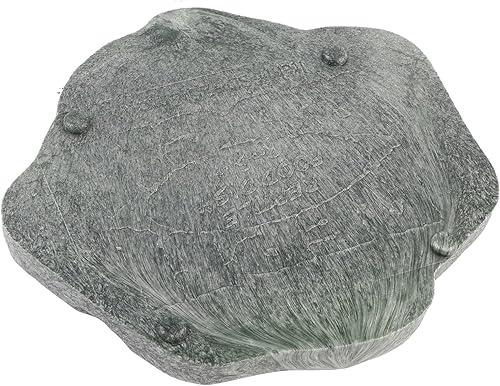 Miniatura 8 de Durable Reptile Rock Food and Water Dish Feeder Bowl for Tortoise Lizard(Green M) Reptile breeding Tools, (S)