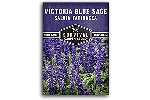 Salvia Farinacea Seeds: Enhance Your Garden with Victoria Blue Sage