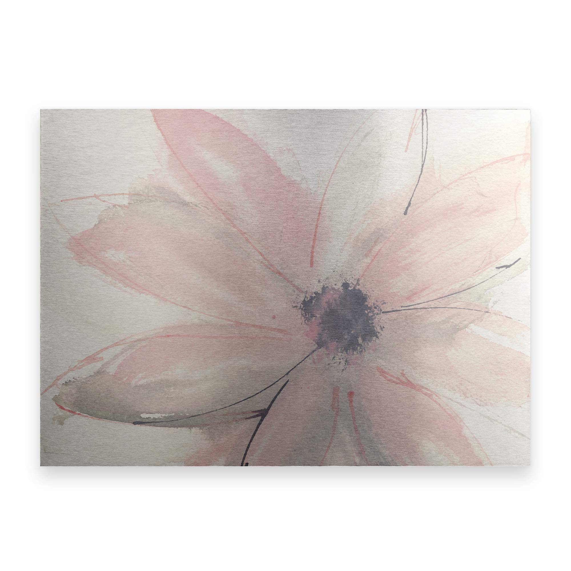 Trademark Fine Art ' Blush Clematis I ' Floating Brushed Aluminum Art by Chris Paschke 16x22