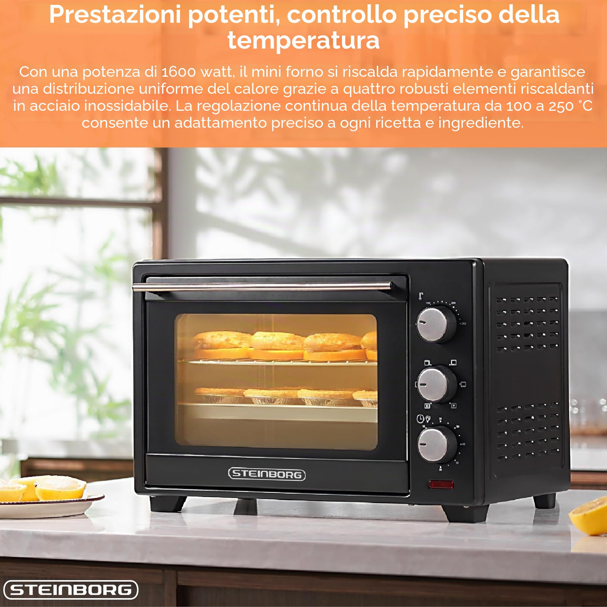 STEInBORG Mini Forno 25 Litri | 3 in 1 per Pizza | Teglia per Briciole | Calore Superiore/Inferiore | Convezione | 60 Minuti | 1.600 Watt
