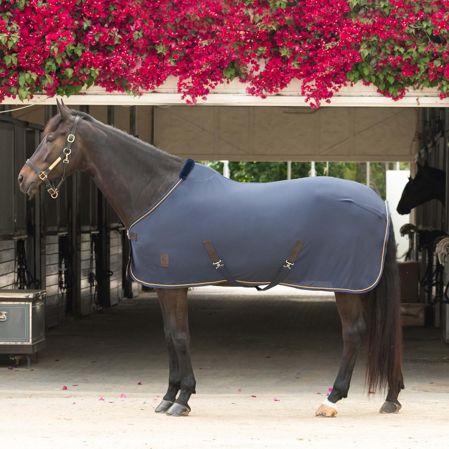 Equinavia Torr Quick Dry Fleece Horse Cooler Blanket Liner with Wither Relief - Navy - 80 in