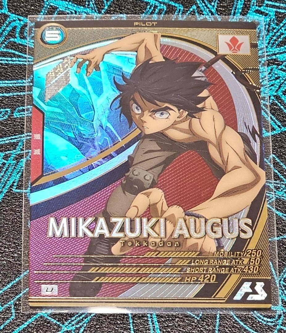 PSA鑑定用ケース ディスプレイ アルミ製 両面透明 壁掛け・卓上