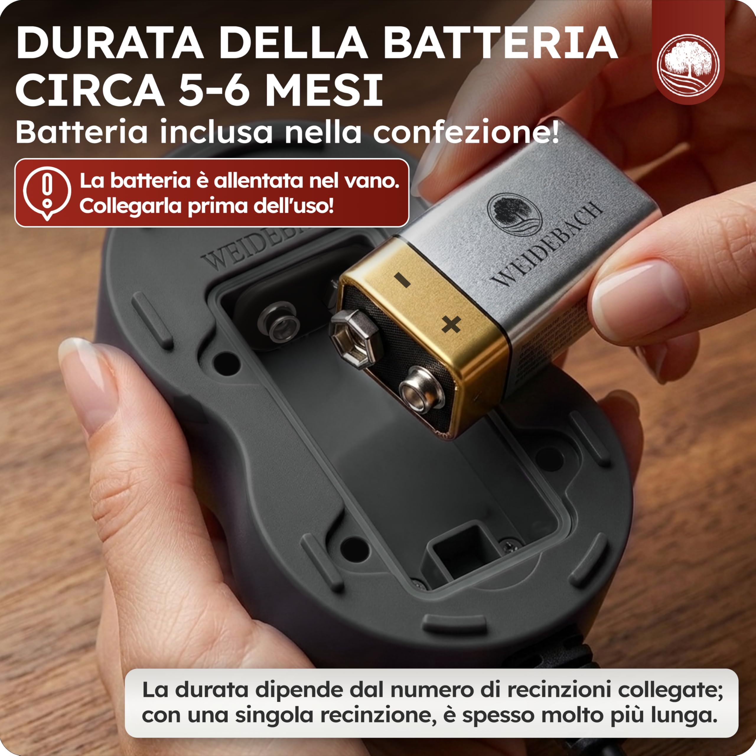 WEIDEBACH® Recinzione elettrica per lumache, set completo da 10 m, protezione contro lumache, aiuole rialzate, recinti per lumache, barriera per lumache, nastro in rame, alternativa, snailstop, lunga