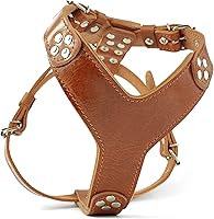 Vista 6 de Bestia Arnés para perro de cuero ''Style''. Negro. 100% cuero. hecho a mano