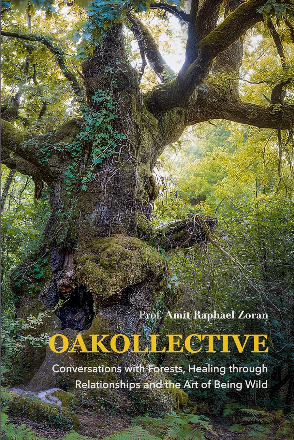 OAKOLLECTIVE: Conversations with Forests, Healing through Relationships, and the Art of Being Wild