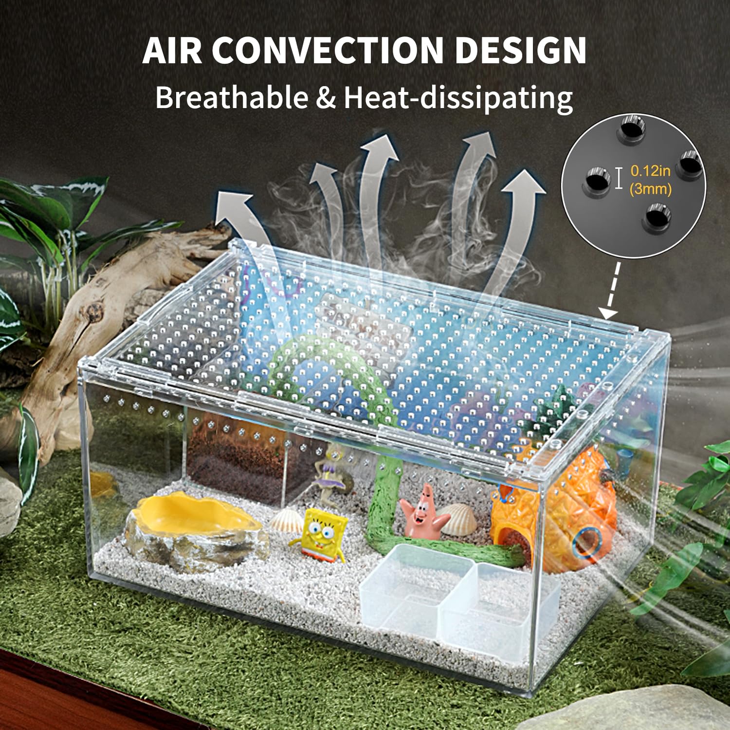 Terrario per rettili PC 30,5 x 20,3 x 15,2 cm, recinzione per tarantola, kit di avviamento per serbatoio di ragno, habitat di granchi eremiti, recinzione lucertola, custodia per insetti, gabbia per