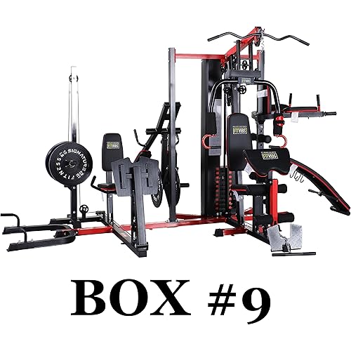 Multifunctional Home Gym System Workout Station with Leg Extension and Preacher Curl, 122.5LB Weight Stack, Multiple Options, Multiple Packages